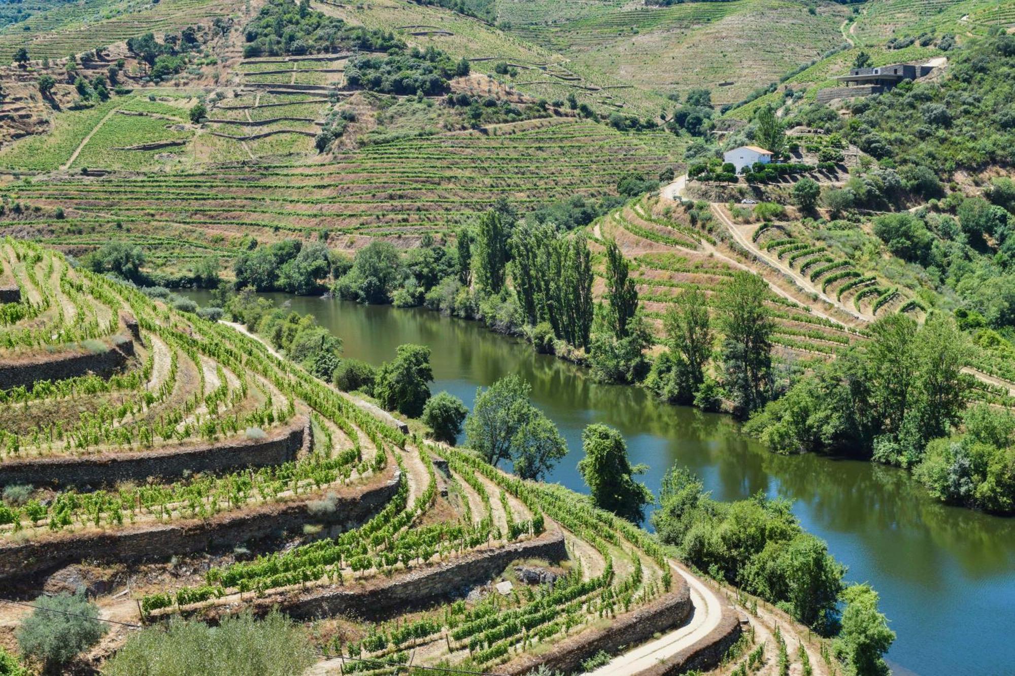 Quinta Do Tedo Bed and Breakfast Folgosa  Εξωτερικό φωτογραφία